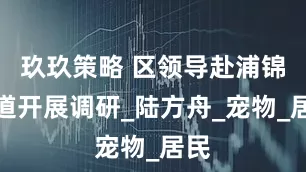 玖玖策略 区领导赴浦锦街道开展调研_陆方舟_宠物_居民