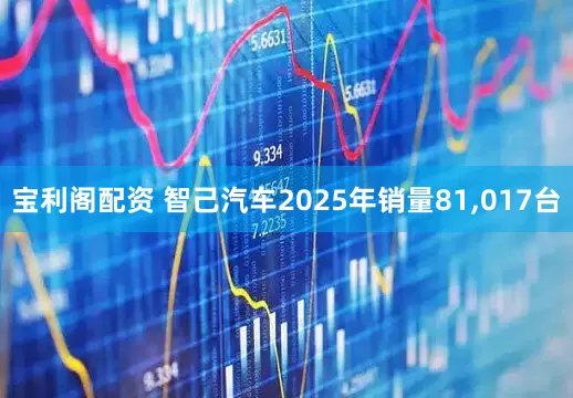宝利阁配资 智己汽车2025年销量81,017台